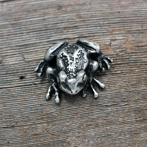 Fat tree frog brooch