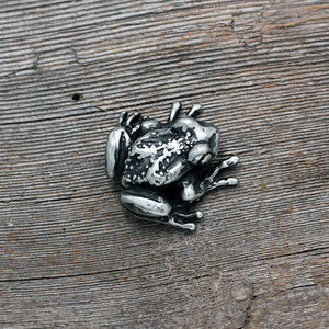 Fat tree frog brooch